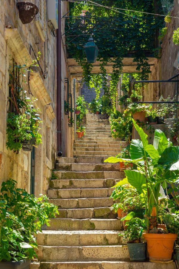 Vila Old Town House With Floor Heating & Lush Private Garden Dubrovník Exteriér fotografie