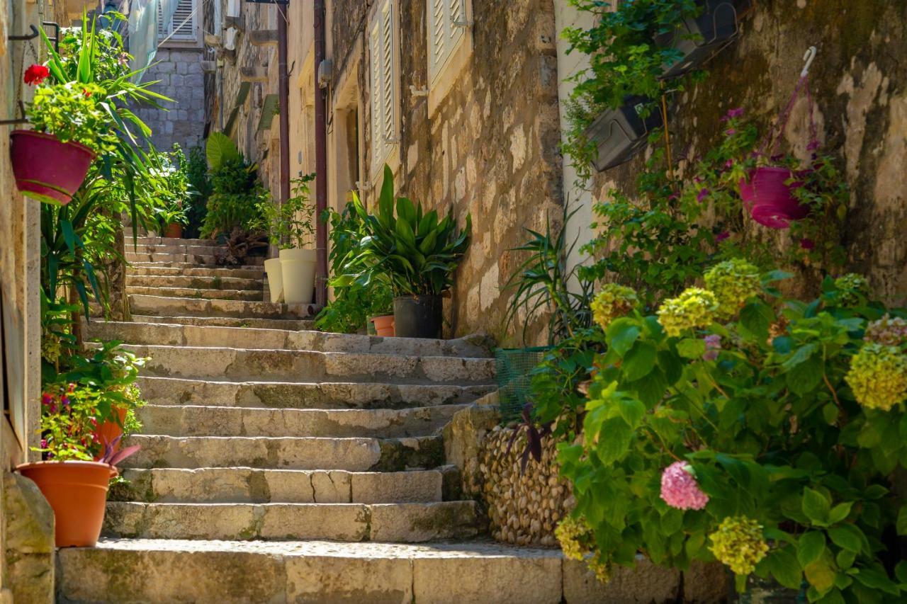 Vila Old Town House With Floor Heating & Lush Private Garden Dubrovník Exteriér fotografie